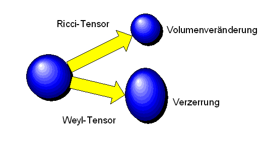 Weyl- und Ricci-Tensor